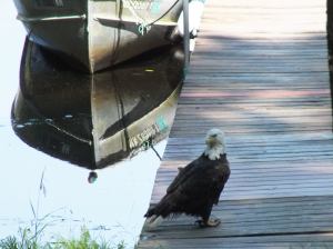 “Ever notice how sometimes you come across somebody you shouldn't have fucked with?  Well, I'm that bird.”